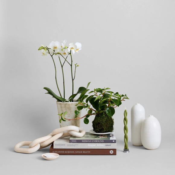 Bloomist Pale Wood Chain, Small Link - Picture 10 of 12